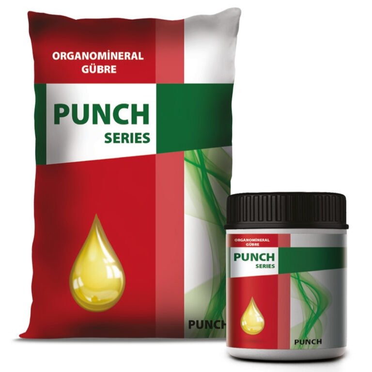 PUNCH III 5-0-36 + OM